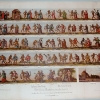 Totentanz nach der Restaurierung